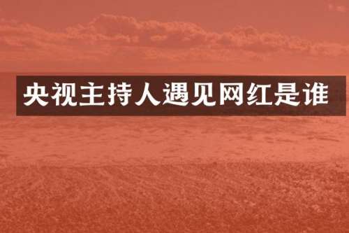 央视主持人遇见网红是谁