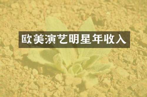 欧美演艺明星年收入