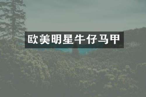 欧美明星牛仔马甲