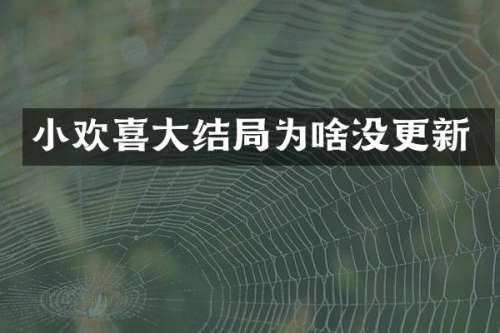小欢喜大结局为啥没更新