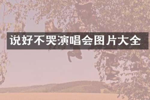 说好不哭演唱会图片大全