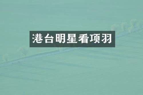 港台明星看项羽