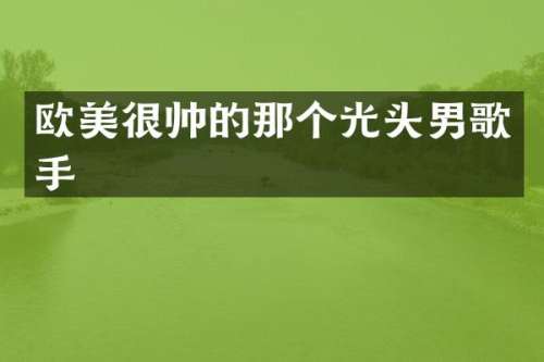 欧美很帅的那个光头男歌手