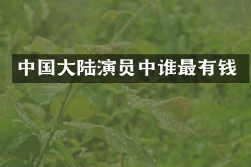 中国大陆演员中谁最有钱