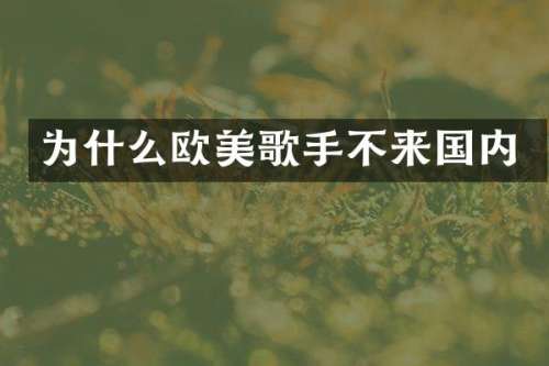 为什么欧美歌手不来国内