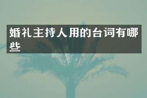 婚礼主持人用的台词有哪些