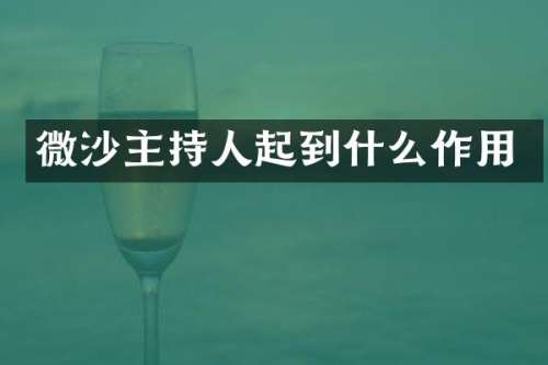 微沙主持人起到什么作用