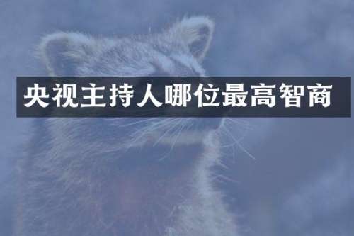 央视主持人哪位最高智商