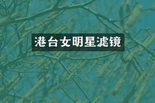 港台女明星滤镜