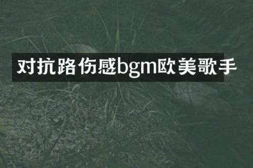 对抗路伤感bgm欧美歌手