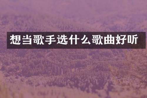 想当歌手选什么歌曲好听