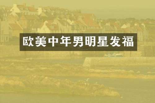 欧美中年男明星发福