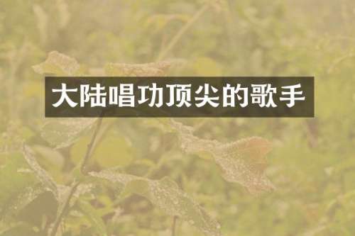大陆唱功顶尖的歌手