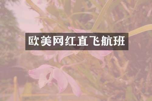 欧美网红直飞航班