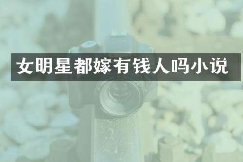 女明星都嫁有钱人吗小说