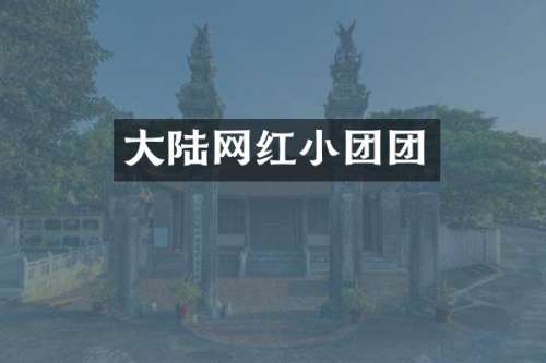 大陆网红小团团