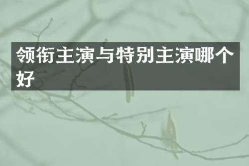 领衔主演与特别主演哪个好