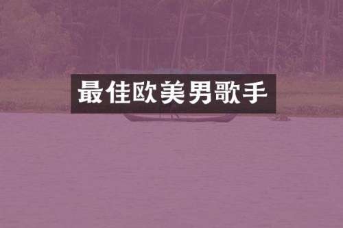 最佳欧美男歌手