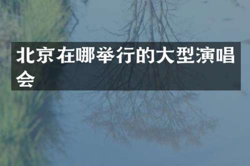 北京在哪举行的大型演唱会