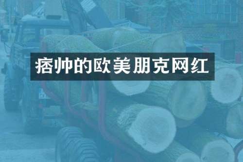 痞帅的欧美朋克网红