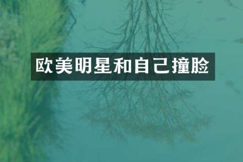 欧美明星和自己撞脸
