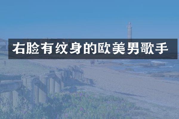右脸有纹身的欧美男歌手
