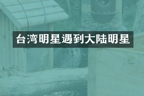 台湾明星遇到大陆明星