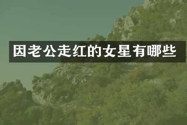 因老公走红的女星有哪些