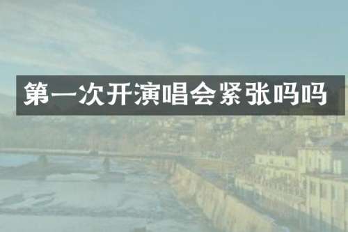 第一次开演唱会紧张吗吗