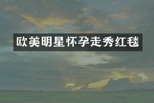 欧美明星怀孕走秀红毯