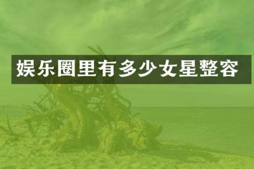 娱乐圈里有多少女星整容