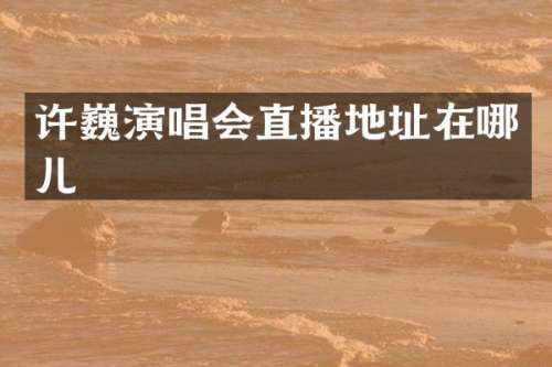 许巍演唱会直播地址在哪儿