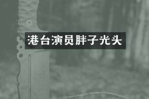 港台演员胖子光头