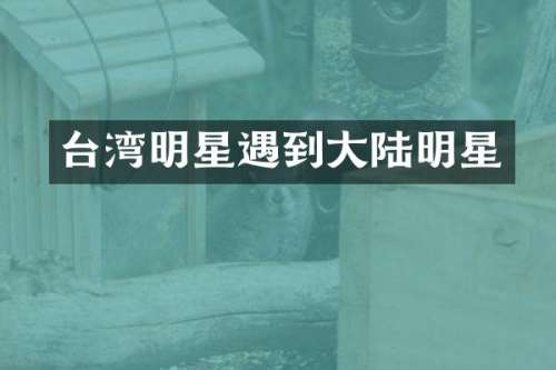 台湾明星遇到大陆明星