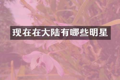 现在在大陆有哪些明星