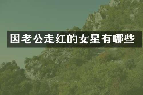 因老公走红的女星有哪些