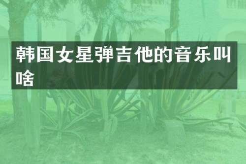 韩国女星弹吉他的音乐叫啥