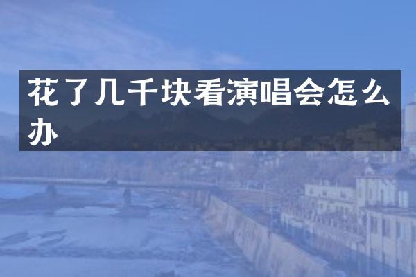 花了几千块看演唱会怎么办