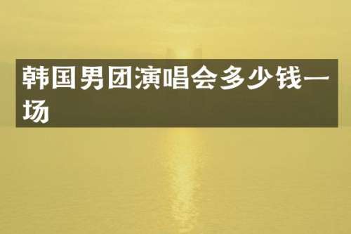 韩国男团演唱会多少钱一场