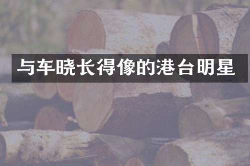 与车晓长得像的港台明星
