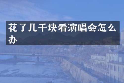 花了几千块看演唱会怎么办