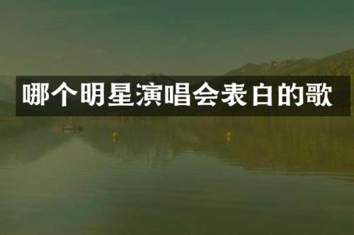 哪个明星演唱会表白的歌