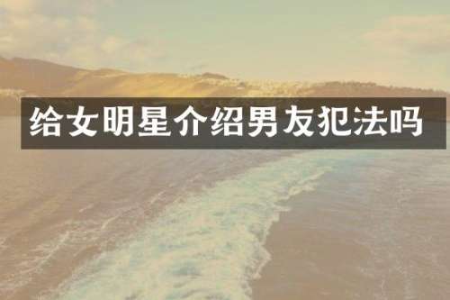 给女明星介绍男友犯法吗