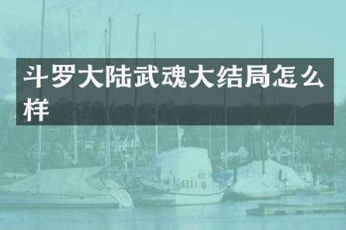 斗罗大陆武魂大结局怎么样