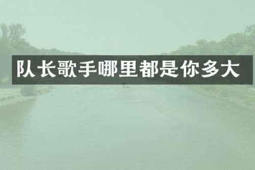 队长歌手哪里都是你多大