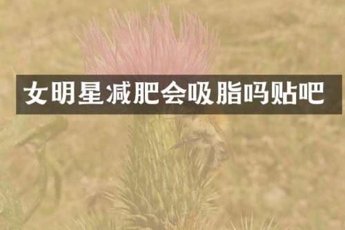 女明星减肥会吸脂吗贴吧