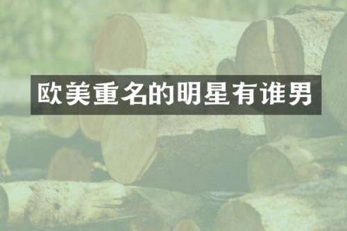 欧美重名的明星有谁男