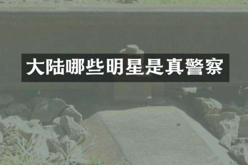 大陆哪些明星是真警察