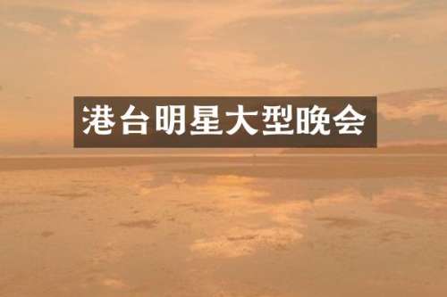 港台明星大型晚会