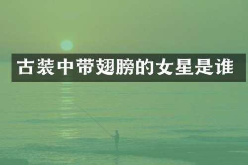 古装中带翅膀的女星是谁